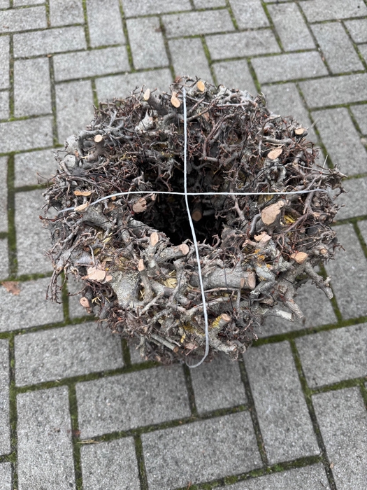 Krans Bolmoos Bonsai 35cm