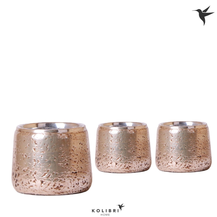 <h4>Kolibri Home Luxury pot silver</h4>