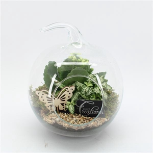 ESCR-2502W Essentials terrarium