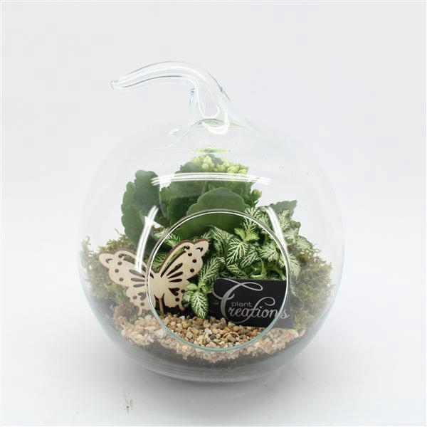 <h4>ESCR-2502W Essentials terrarium</h4>