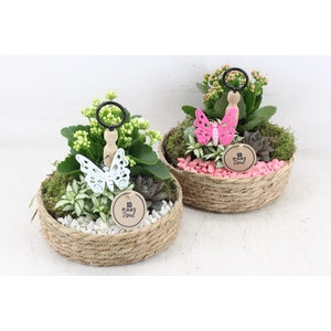 arr2 PL - Jute etagere - roze/wit