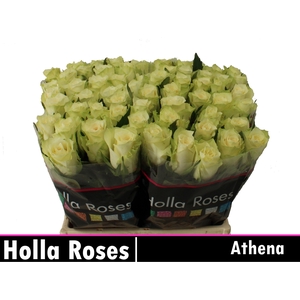 R GR ATHENA
