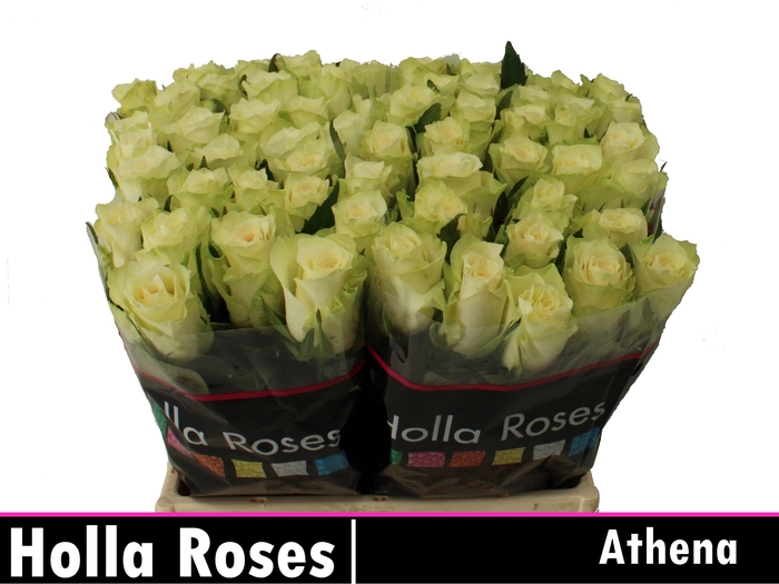 R GR ATHENA