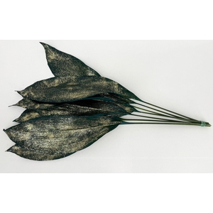 Aspidistra Painted Blu Glitter Gold