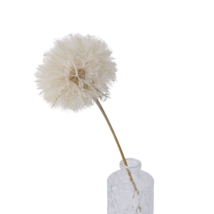 Dandelion d12*35cm