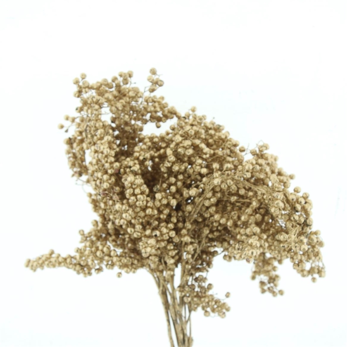 <h4>Dried Pepper Berries Gold</h4>