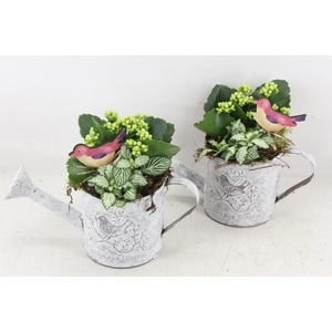 arr2 TD - Zink gieter - wit