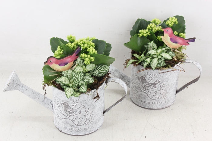 <h4>arr2 TD - Zink gieter - wit</h4>