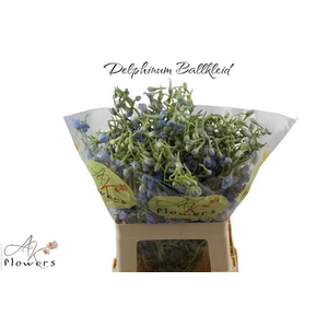 DELPH EN BALLKLEID DELPH EN BALLKLE