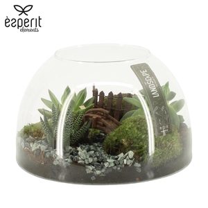 90825: Landscape arrangement