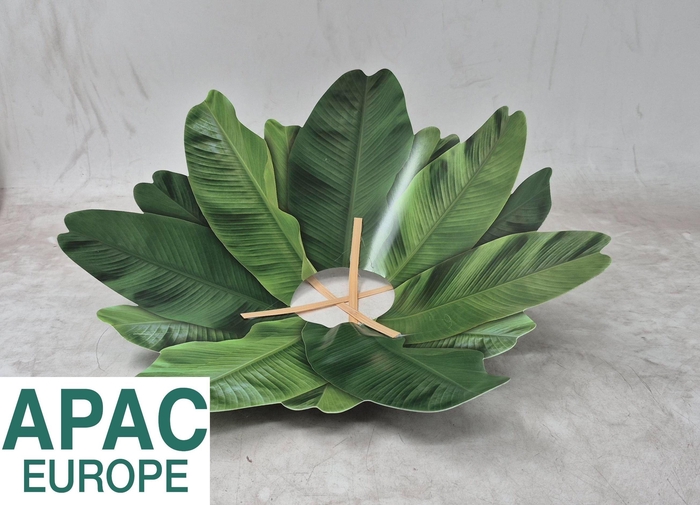 <h4>BOEKETHOUDER H%</h4>