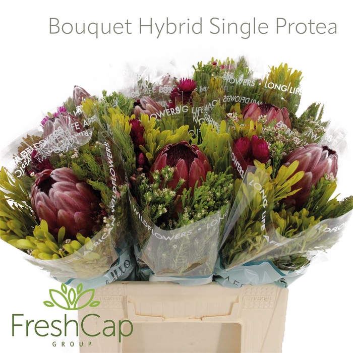 Bouquet Hybrid Single Protea