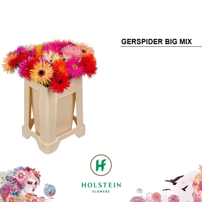 <h4>GE GS GERSP GEM</h4>