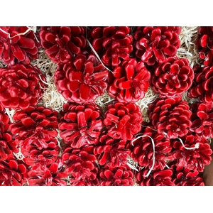 Dennenappel Wax Licht Rood