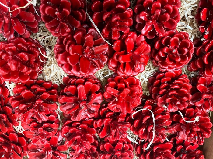 <h4>Dennenappel Wax Licht Rood</h4>