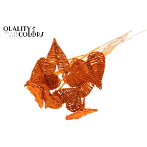 Lata Heart 8cm on stem Hat type Orange