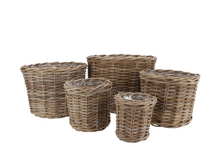 <h4>Rattan Ivy Natural Cilinder Set 5 17x17/23x20/27x2</h4>