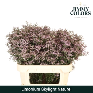 Lim Skylight L80 Naturel