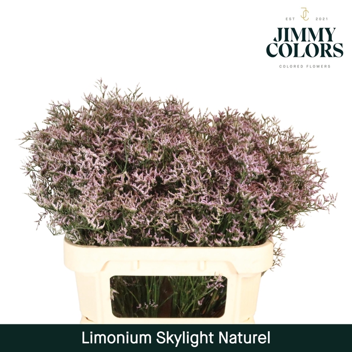 <h4>Lim Skylight L80 Naturel</h4>