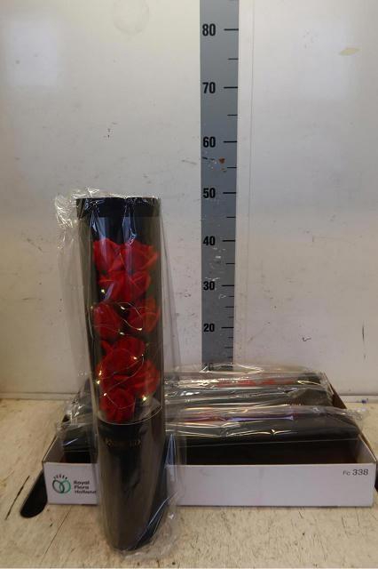 <h4>HUIS EN TUINDECO H%</h4>