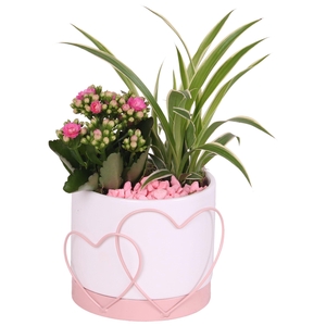 Mothersday Arr. Indoor Ceramic Heart Frame Pot Pink Ø13cm 2PP