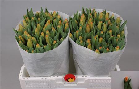 <h4>Tu En Time Out</h4>