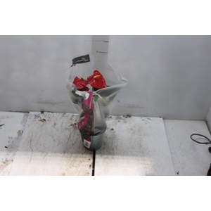 ANTHURIUM ESUDO P12
