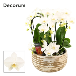 Luna twirl 9 tak symphony white (Deco-collection)