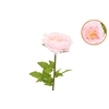 Silk Amazing Peony Beauty Light Pink Xl 38x115cm
