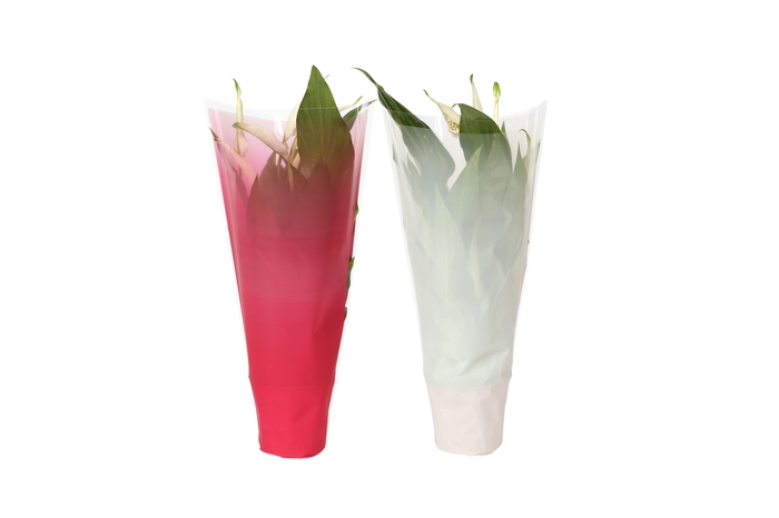 <h4>Spath Pearl Cupido Hoes Gekleurd Kerst</h4>