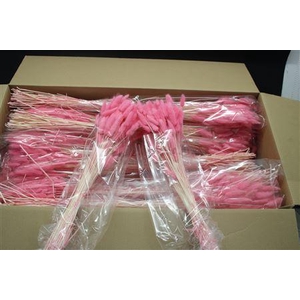 Lagurus Dark Rosa X30