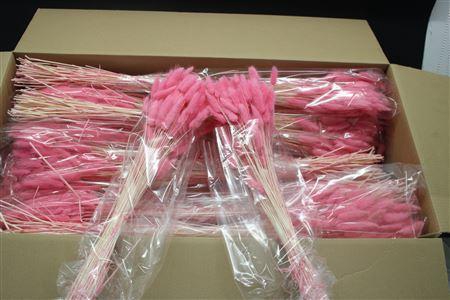 <h4>Lagurus Dark Rosa X30</h4>