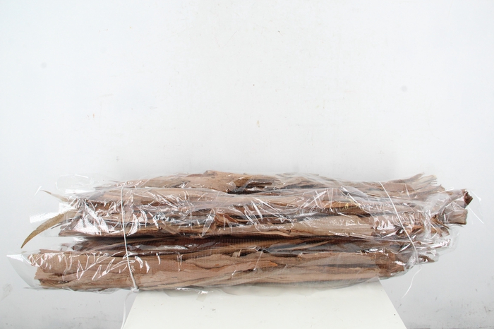 <h4>EUCALYPTHUS BARK 1KILO</h4>