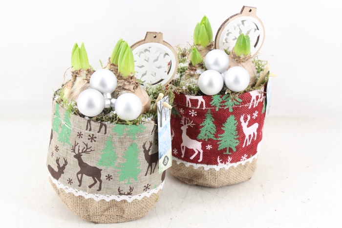 <h4>arr4 Hyacint JS - Christmas bag x6</h4>