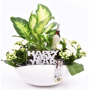 Keramiek kano wit 25x16 cm