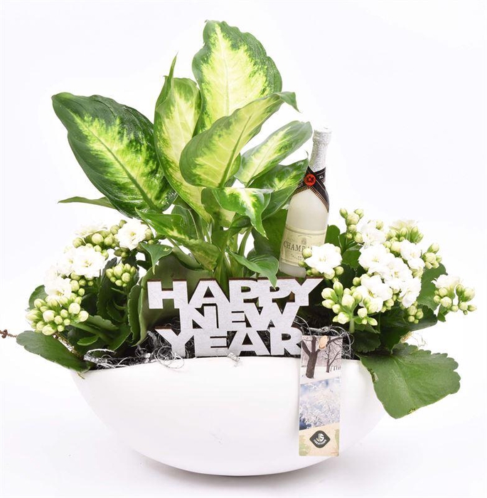 <h4>Keramiek kano wit 25x16 cm</h4>