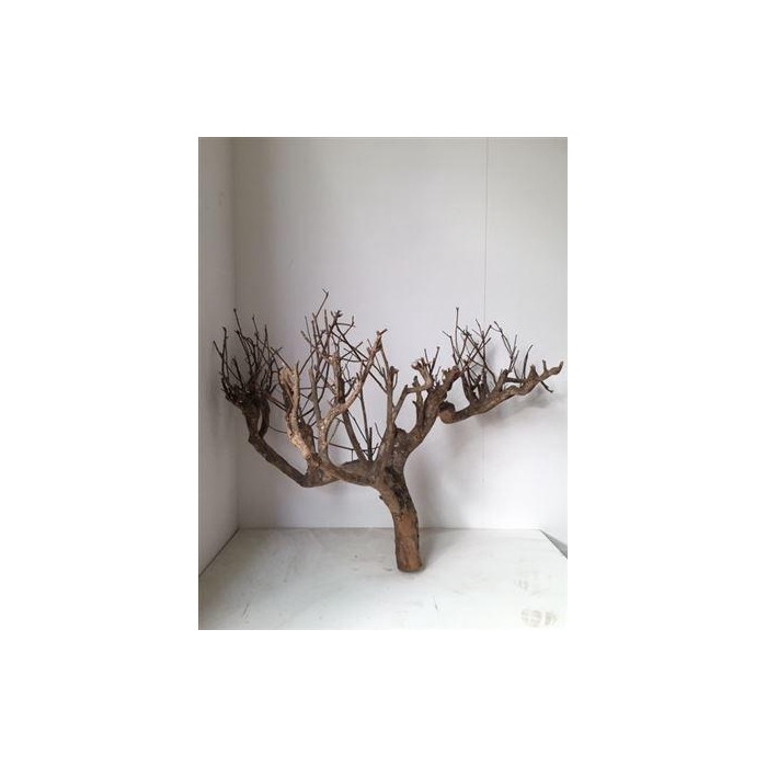 <h4>Branch Teabush L120H80</h4>