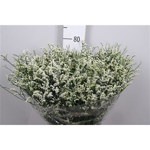 Lim Sin Mountain Diamond White