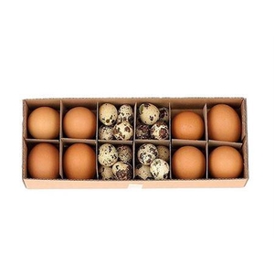 Egg Combi 8 Chicken 24 Quail Nature