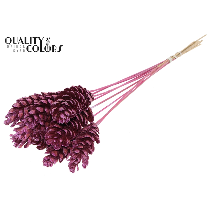 <h4>Strobus 10-15cm on stem Metallic Pink</h4>