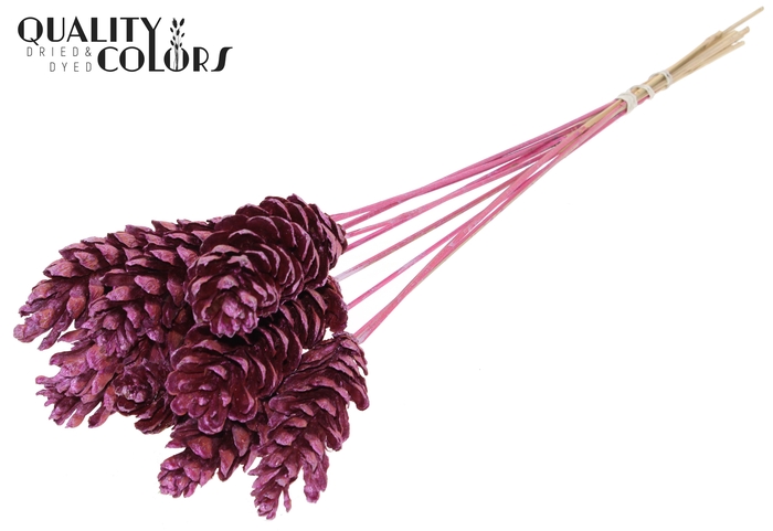 Strobus 10-15cm on stem Metallic Pink