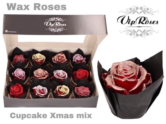 <h4>R Gr Vip Cupcake Xmas Mix</h4>