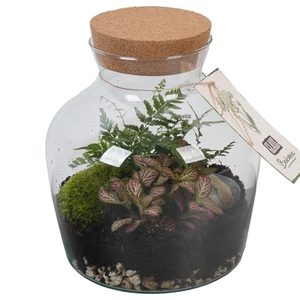 PTGIG2171 Arrangement Greens in glass in glazen terrarium