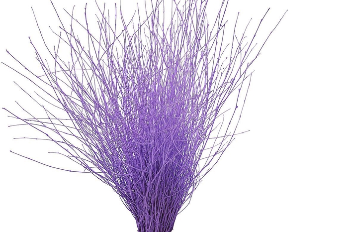 <h4>Berk 70cm Milka Pbs</h4>