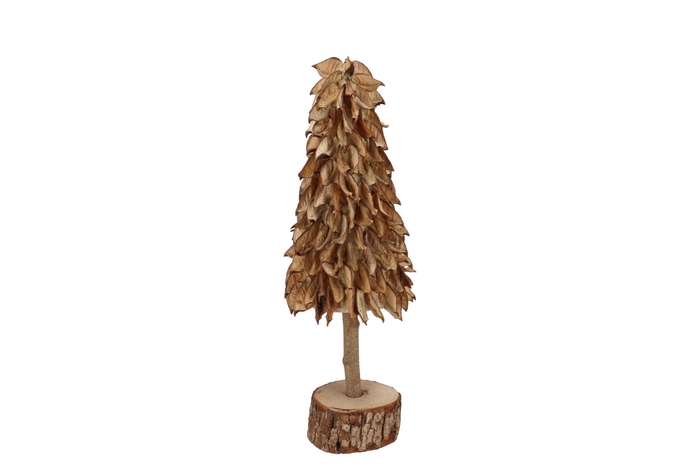 <h4>Cotton Shell Tree 14x40cm</h4>