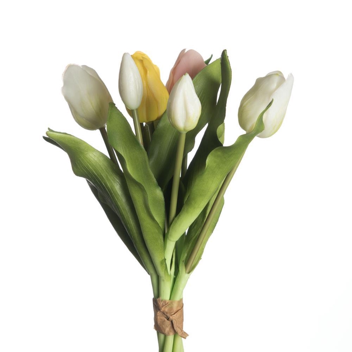 <h4>AF Tulip Bundle x7 L31cm Mix Y</h4>