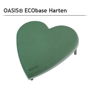 OASIS® 11-07442 ECO BASE HART 19X20 CM X2