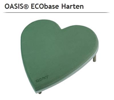 <h4>OASIS® 11-07442 ECO BASE HART 19X20 CM X2</h4>