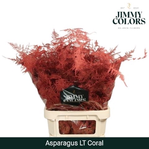 Aspa Lang Getopt Coral