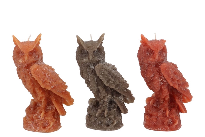 <h4>Candle Frosty Sitting Owl Scottish Brown Mix 7x17cm</h4>